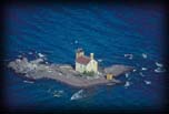 Gull Rock Lighthouse Keeweenaw Point, Lake Superior