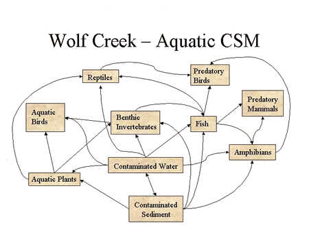 schematic of aquatic conceptual site model