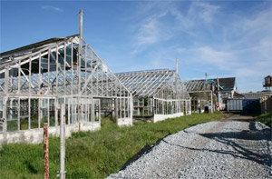 row of greenhouses