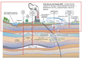 Image: Schematic diagram showing impacts of CO2 leakage into groundwater and the vadose zone.