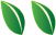 two leaves