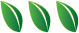 three leaves