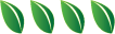 four leaves