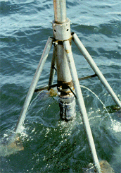 Corer