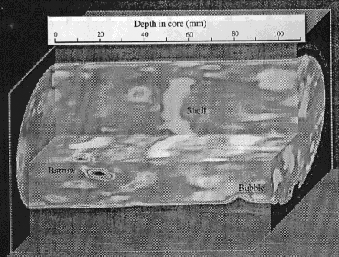 3D Marine Sediment