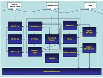 ecosystem structure 