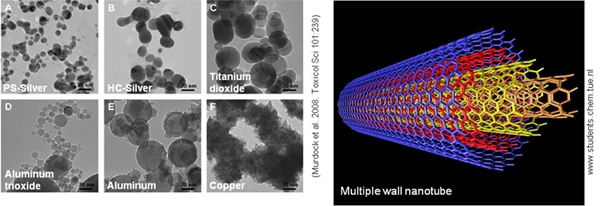 Multiple Wall Nanotube