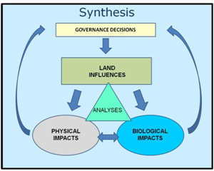 synthesis