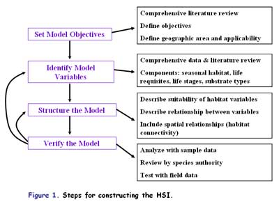 Constructing the HSI