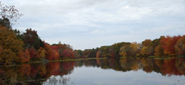 Lake Ecosystem Services image