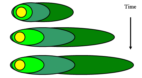 Illustration of the effect of biodegradation on plume extent.