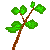 Intermediate Topic Icon