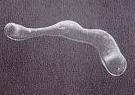Scanning electron micrographs of non-branching blob formed in four pore bodies.