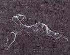 Scanning electron micrographs of branching blob formed in four pore bodies.