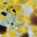 Photomicrograph showing many different sizes and shapes of non-wetting phase blobs in a realistic porous medium.
