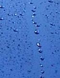 Waxed car with water repellent surface that causes water to bead up