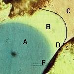Three phase fluid distribution in a natural sand