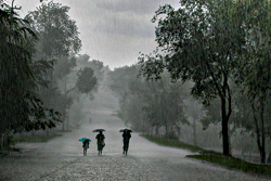 Walking in rain