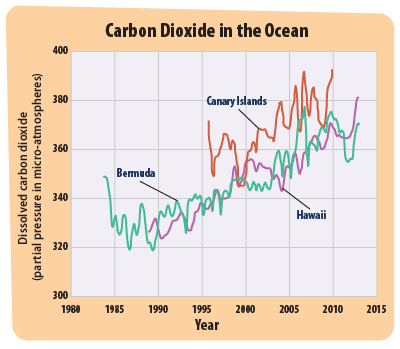 This graph shows three lines. Each line represents the amount of carbon dioxide in the ocean at a particular place where measurements have been collected.