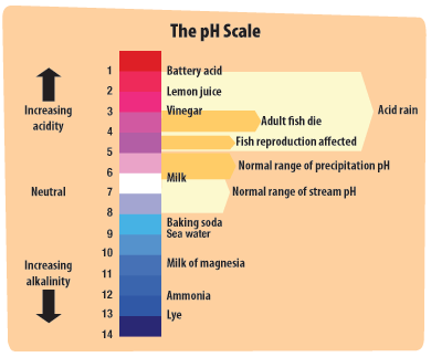 This diagram shows the pH of several common substances.