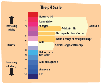 Increased Ocean Acidity | A Student's Guide to Global Climate Change