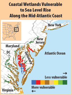 This map shows the East Coast of the United States from New York to Virginia. It uses color-coding to identify wetlands that are most at risk of disappearing because of sea level rise.