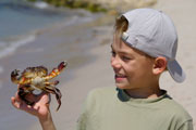 boy holding crab