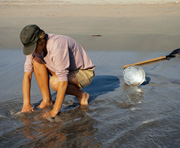 boy playing in sand