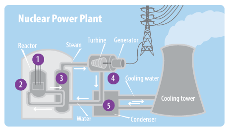 components of nuclear fission reactor