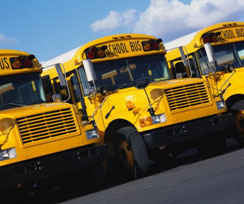 school buses