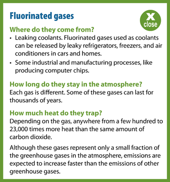 Flourinated Gases Popup Information