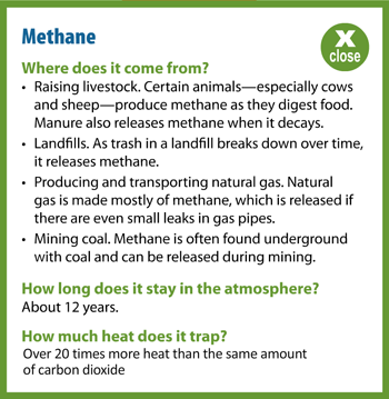 Methane Popup Information