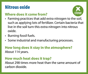 Nitrous Oxide Popup Information