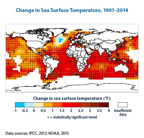 Image of the globe using different colors to represent sea surface temperature.