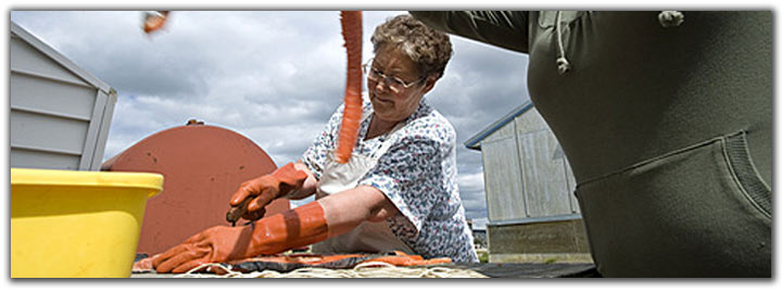 Woman cutting salmon