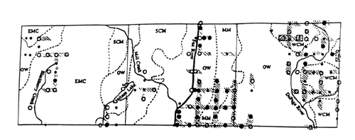 Figure 1.  Presettlement Woody Vegetation Pattern and Structure in Blackberry, Batavia and Winfield Townships, Kane and DuPage Counties, IL