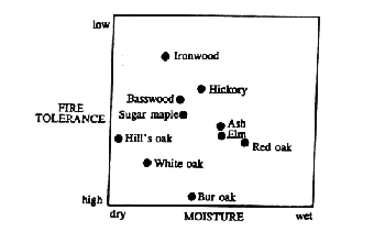 Figure 2.  Presumed Ecological Relationships Among Tree Species in Presettlement Blackberry, Batavia and Winfield Townships, Kane and DuPage Counties, IL