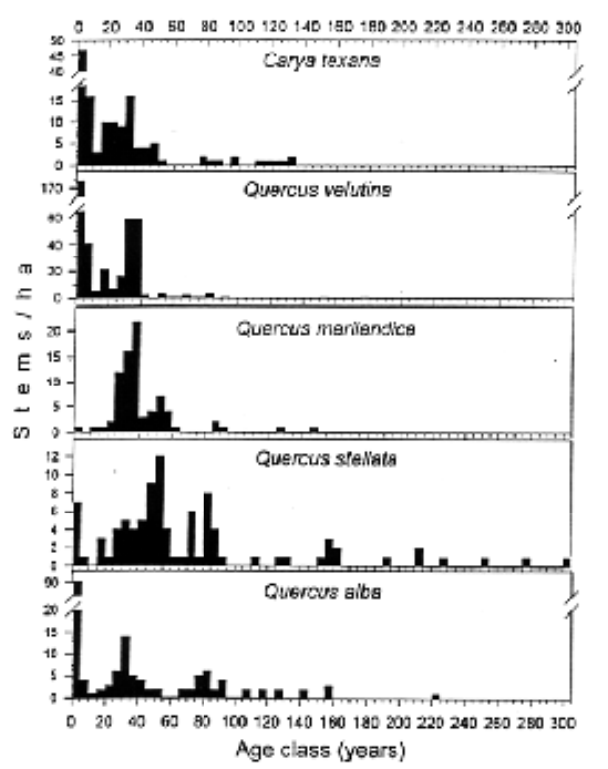 Figure 1.  Age Frequency Distributions of the Major Overstory Species at AB Savanna