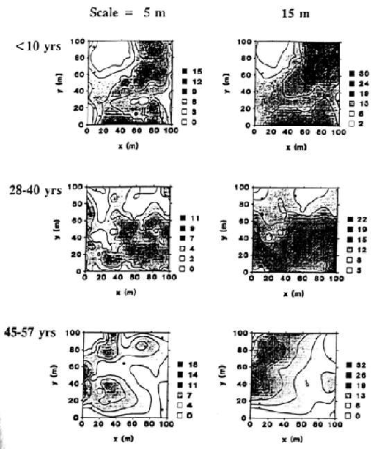 Figure 2.  Spatial Patters of Three Cohorts