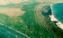 Dune and Swale Complex at Stockton Island, Ashland County, Apostle Islands, Wisconsin
