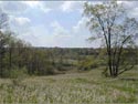 photo: upland area in Shiawassee River basin