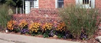 photo: Garden Outside the Springfield Township Offices