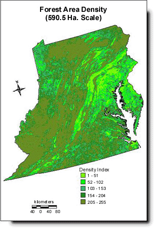 Forest Area Density (590.49 Ha. Scale)