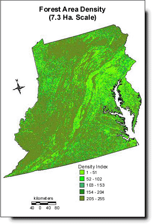 Forest Area Density (7.29 Ha. Scale)