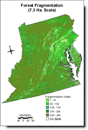 Forest Fragmentation (7.29 Ha. Scale)