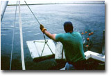 Deploying Fish Trawl