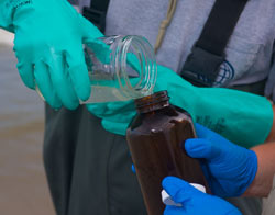 close up photo of gloved hands 
transfering water from one jar to another