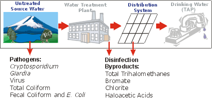 Sampling Overview Diagram