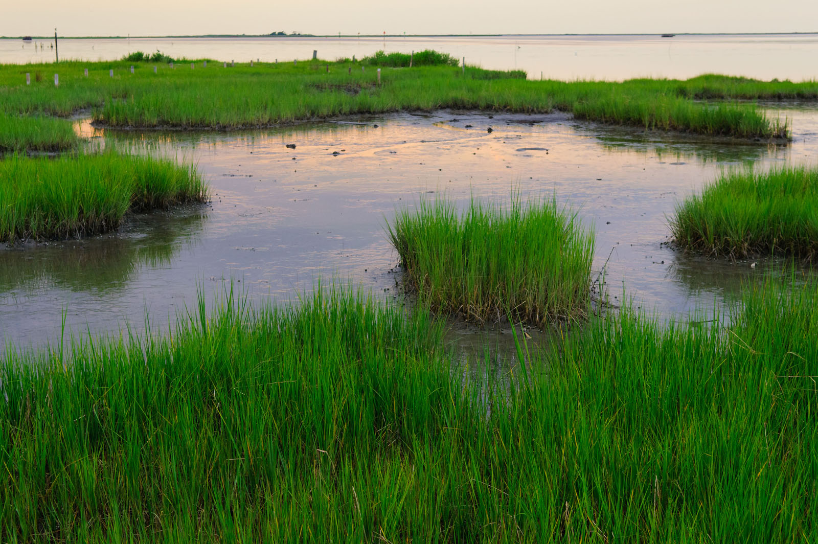 EPA Releases Report Showing Nearly Half of Nation’s Wetlands in Good ...