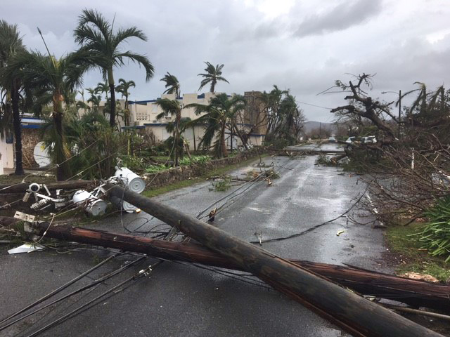 photo of a street with downed utilities poles and thick, damaged vegetation